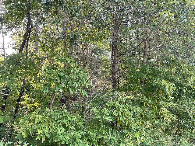 2nd image of 7055 N Ashby Rd