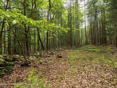0 Lot 1 Church Road, Bearsville, NY, 12409