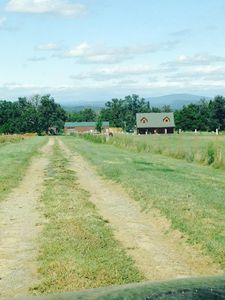 5456 Brown Ln, Ozark, AR, 72949