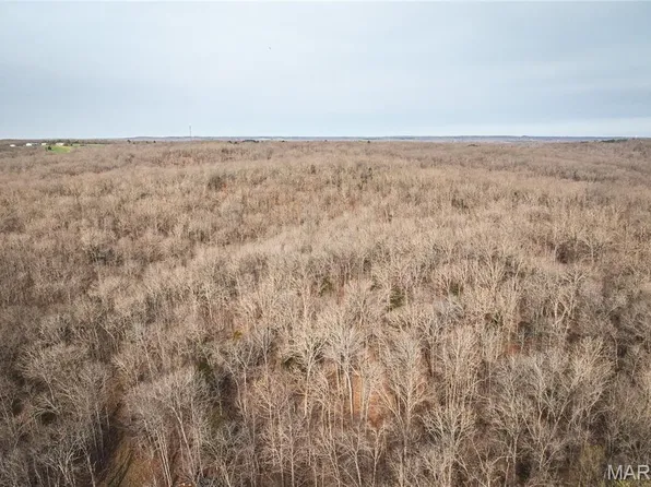 0 County Road 3600 #1, Saint James, MO 65559