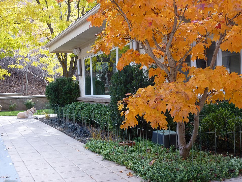 2nd image of 1873 S Carrigan Cir