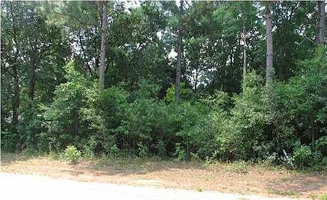 2nd image of 2030 Rambling Oaks Dr