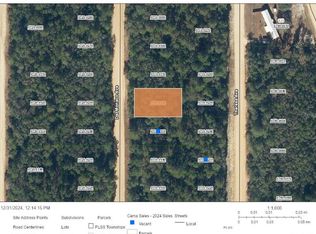 0 Del Monaco Ave #12, Interlachen, FL 32148
