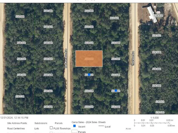 0 Del Monaco Ave #12, Interlachen, FL 32148