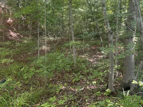 2420 Balltown Rd, Bryson City, NC 28713