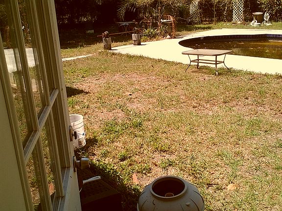 Inground pool and back yard