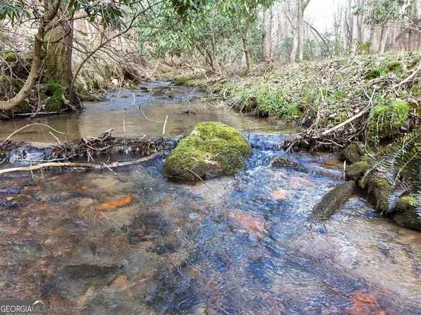 LOT-44A Synacia Dr, Mineral Bluff, GA 30559