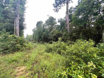 Tbd Cr 3440, Hawkins, TX, 75765