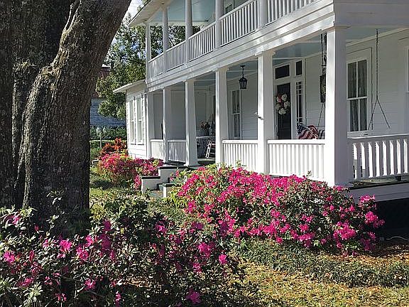 Front Yard Garden