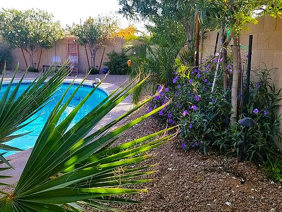 Garden with Palms, Oleander 