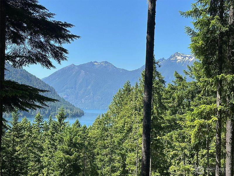 2nd image of 5156 N Lake Cushman Road