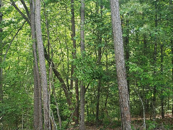 2nd image of 0 Blueberry Ln #24B