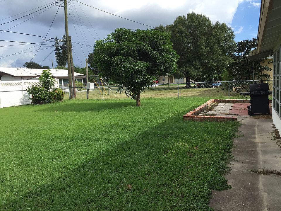 Nice yard with mango tree