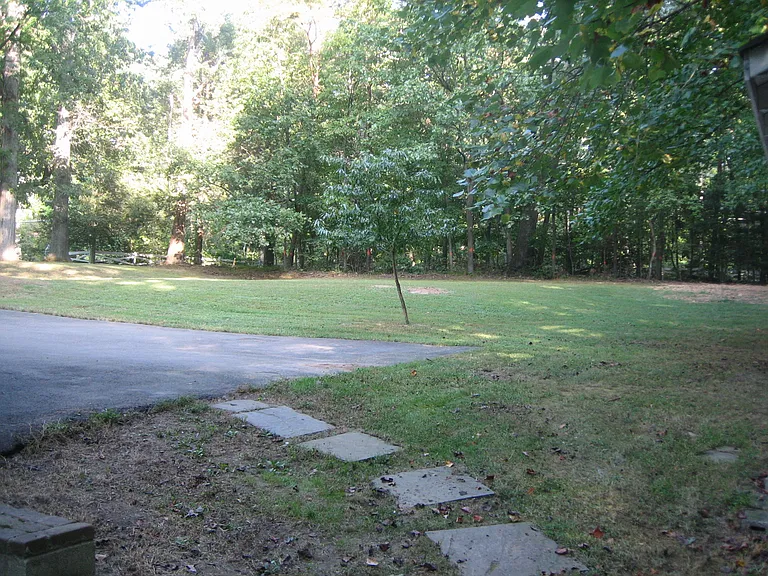 Side yard/play area