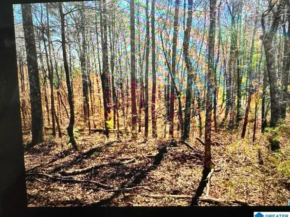 4809 Laurel Trce #7, Anniston, AL 36207