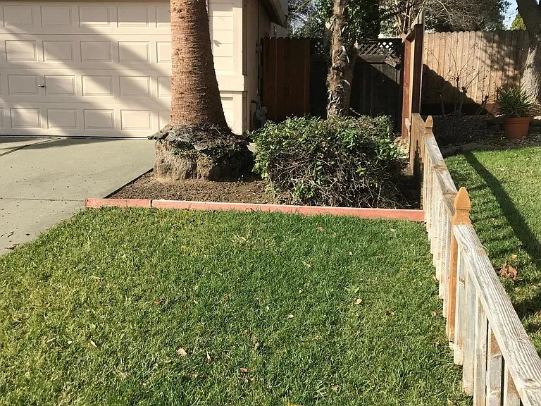 525 Wicklow Dr — Photo 57