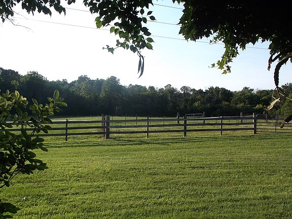 Side pasture in spring
