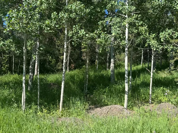 L22 Caribou Forest Dr, Alpine, WY 83128