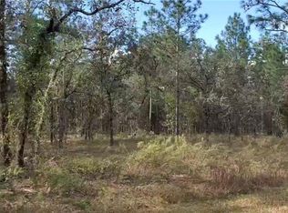 0 NW Holly Rd, Dunnellon, FL 34431