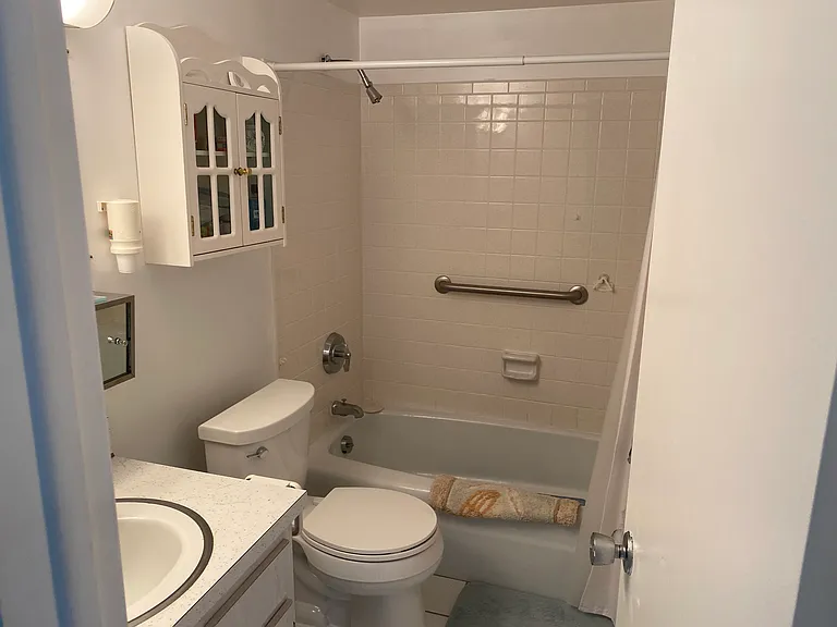 Guest Bathtub/sink