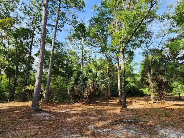 Spring Warrior Rd, Perry, FL 32348