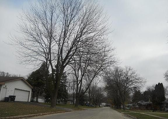 2nd image of 4507 Cleveland Ave