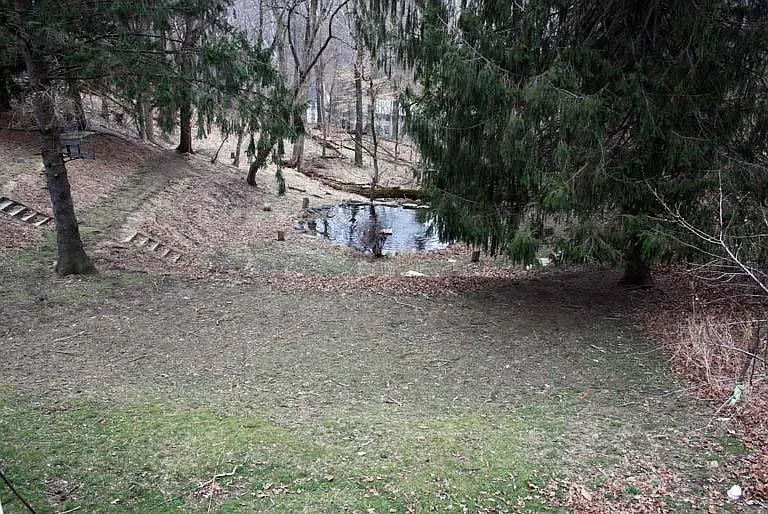 Another view of the yard