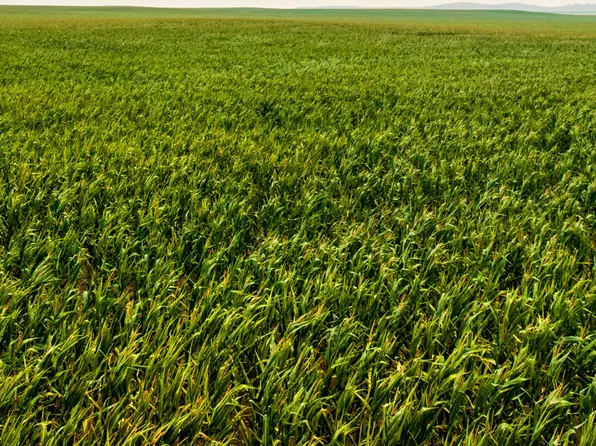 Sec 26 30 Street Southeast N Lot 3, Hettinger, ND 58639