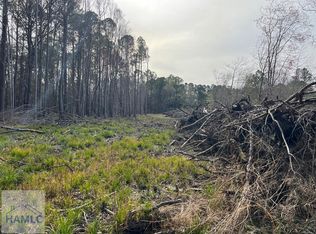 Cook Rd, Fleming, GA 31309