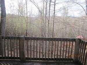 deck and woods