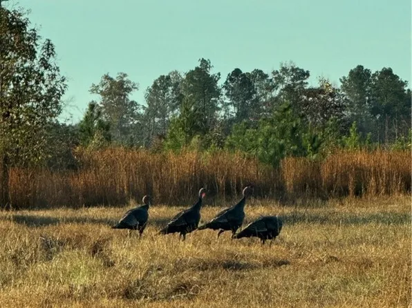 71-3F Rainey Rd, Dinwiddie, VA 23841