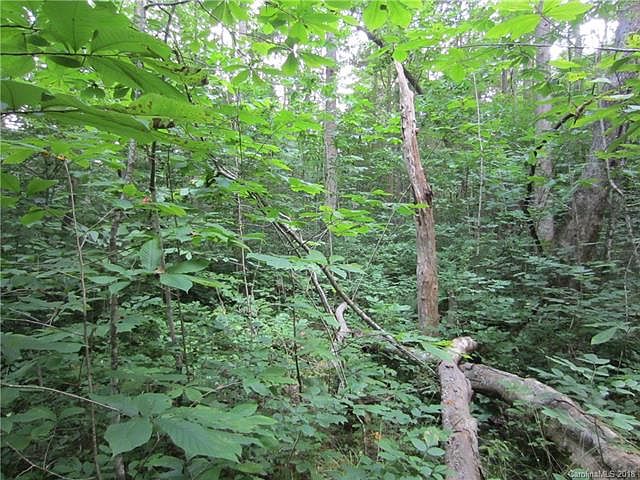 2nd image of 00 Long Branch Rd