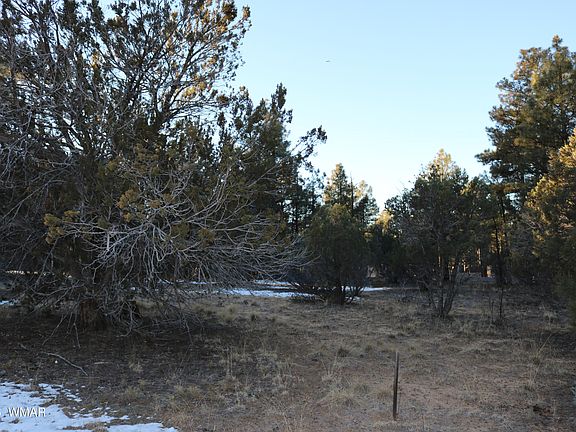 3rd image of 4610 W Hawthorn Rd