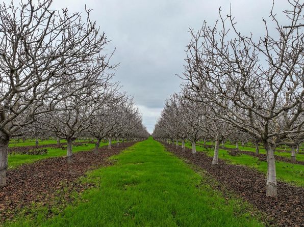 0 Road 224, Delano, CA 93215
