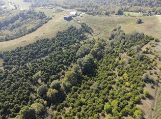 373 Kablers Mill Rd, Brooksville, KY 41004