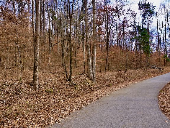 5th image of 32A White Oak Flatt Rd