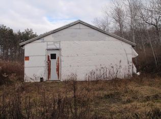 125 Monkey Run Rd, Pt Crane, NY 13833