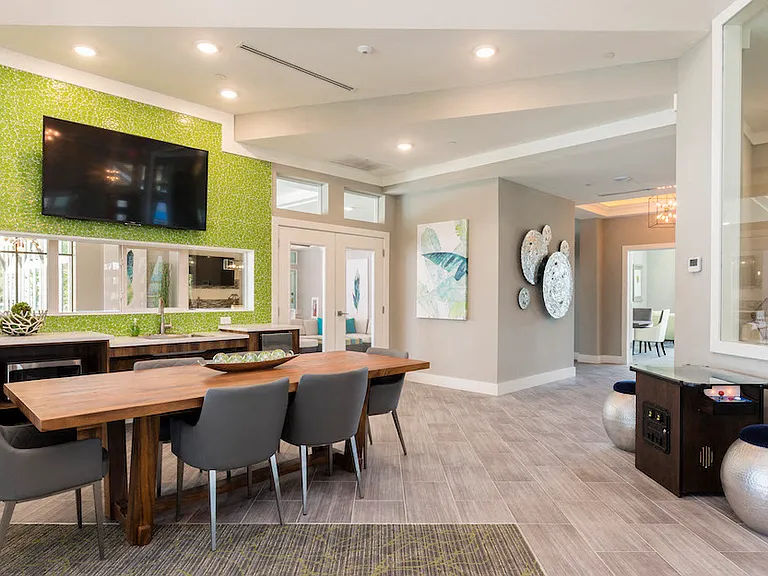 Ariel - Lake Nona — Photo 15