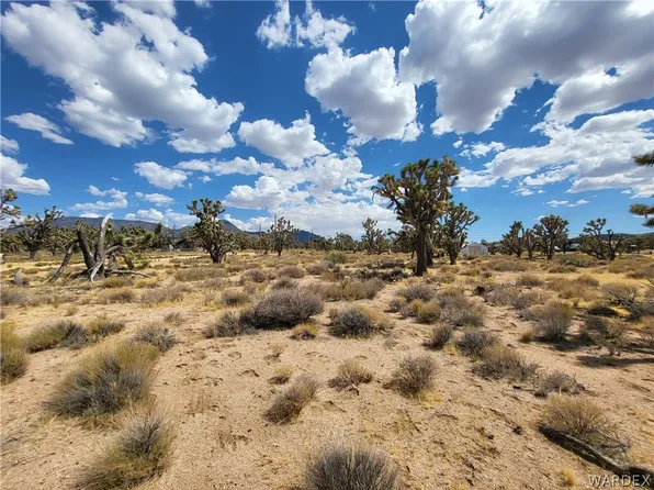 26385 N Apple Dr, Meadview, AZ 86444