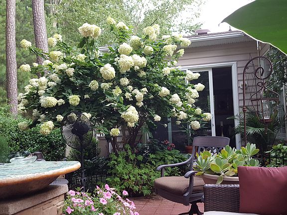 Backyard Garden in Spring
