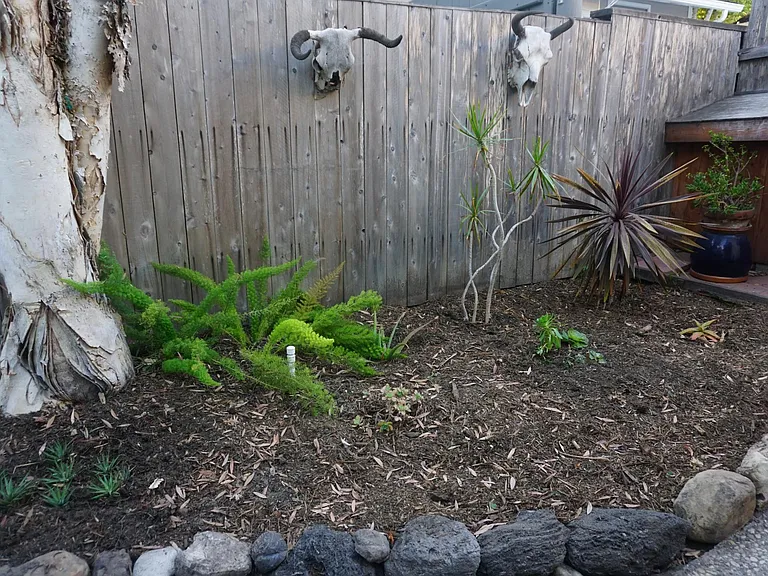 Side yard access from Off street Parking Space