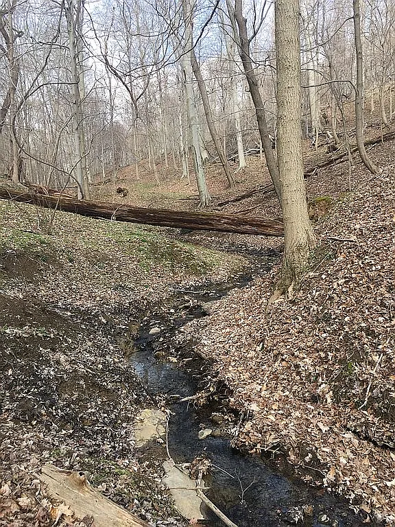 798 Mozart Rd photo 1