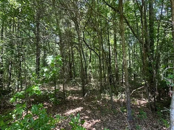 0 Mize Rd, Commerce, GA 30530