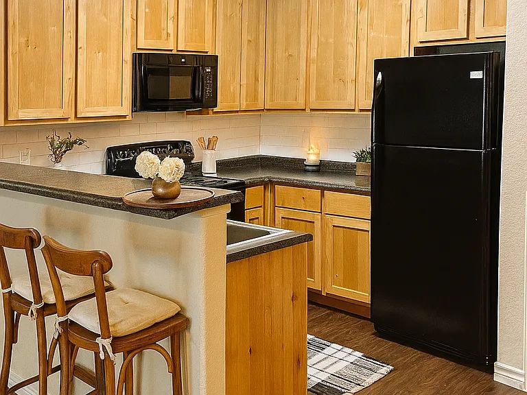 6629 Mammoth Springs Dr — Photo 2