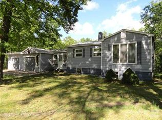 10654 N Brooks Rd, Irons, MI 49644