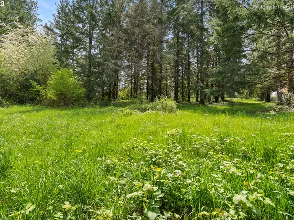 0 SE Tillstrom Rd, Damascus, OR 97089