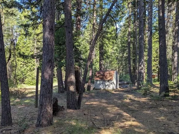 7693 Linda Rd, Shingletown, CA 96088