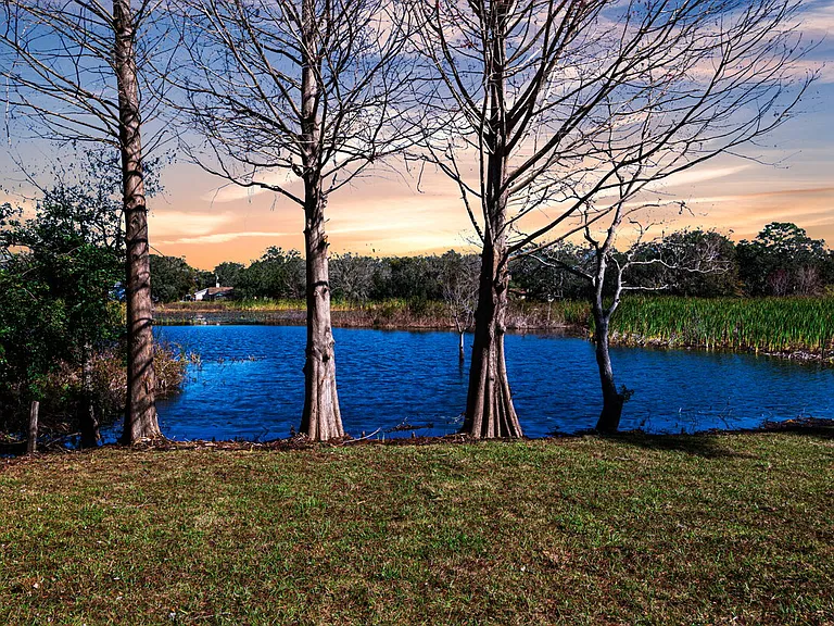 11416 Pine Forest Dr — Photo 47