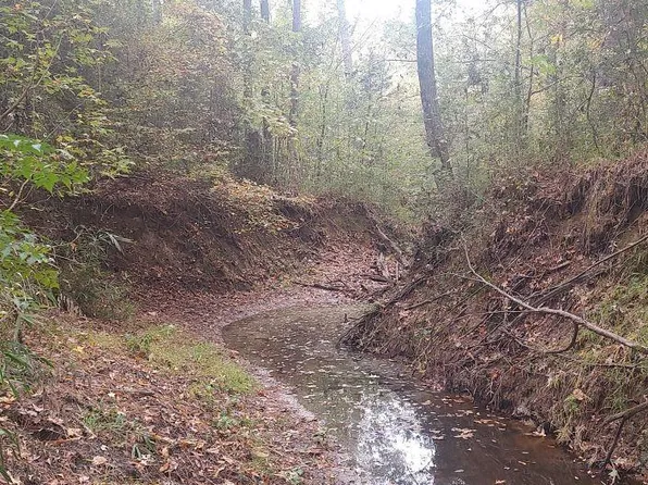 County Road 4210, Timpson, TX 75975