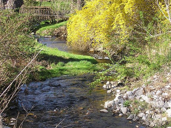 Stream view from street